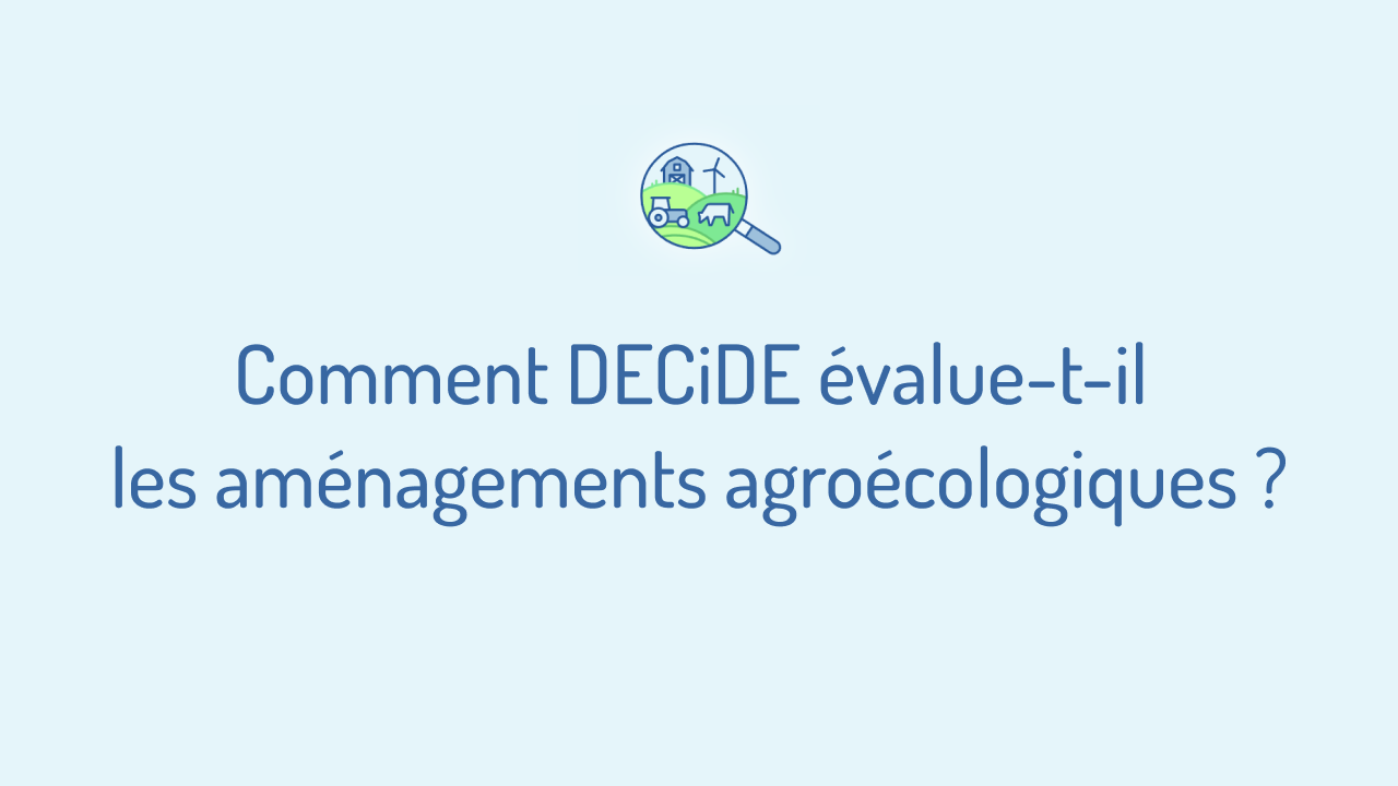 Mignature de la vidéo « Comment DECiDE évalue-t-il les aménagements agroécologiques ? »